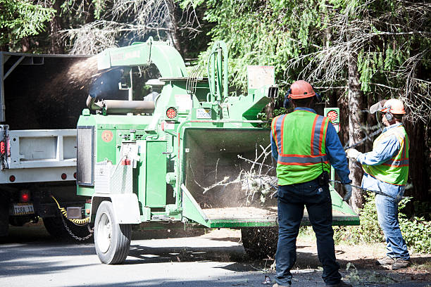 Best Seasonal Cleanup (Spring/Fall)  in Nottingham, PA